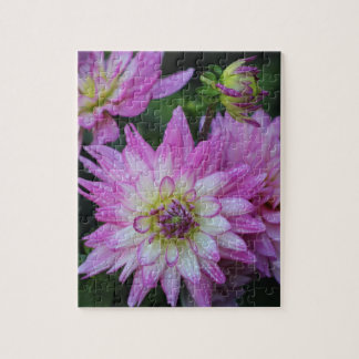 Puzzle Pink Dahlia