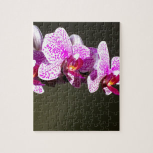 Puzzle Pink Orchids