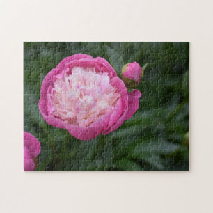 Puzzle Pink Peony Flower Nature Photographie Jardin