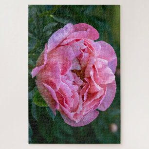 Puzzle Pink Peony, photo florale canadienne