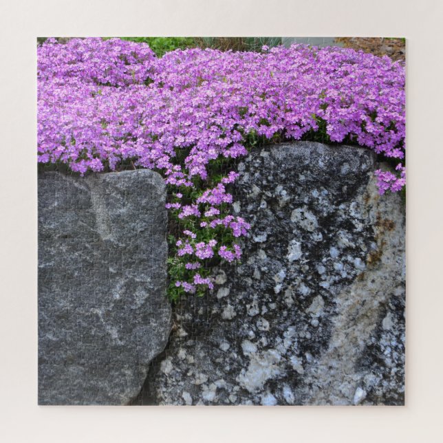 Puzzle Pink Phlox sur Boulder (Vertical)