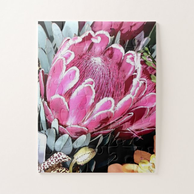 Puzzle Pink Queen Protea Australie florale autochtone no  (Vertical)