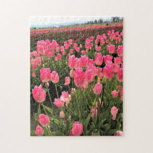 Puzzle Pink & Red Tulips à Field, Oregon