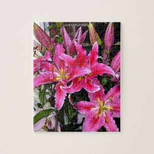Puzzle Pink Stargazer Lily