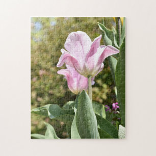 Puzzle Pink Tulip Flower Nature Photographie Londres UK
