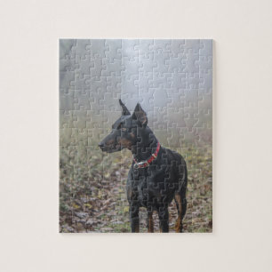 Puzzle Pinscher de dobermann