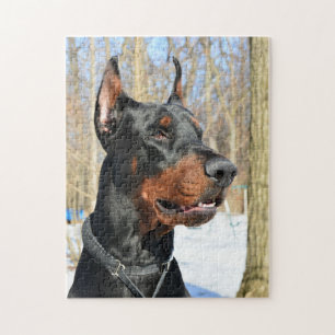 Puzzle Pinscher Doberman dans la neige