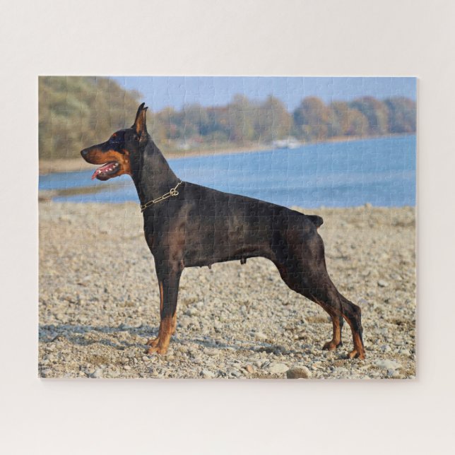 Puzzle Pinscher noir et tan Doberman sur le rivage (Horizontal)