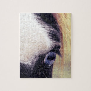 Puzzle Pinto bleu