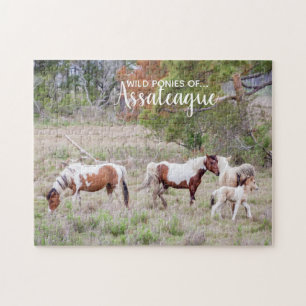 Puzzle Pinto et Peindre les Ponies sauvages d'Assateague