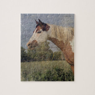 Puzzle Pinto Horse Grunge