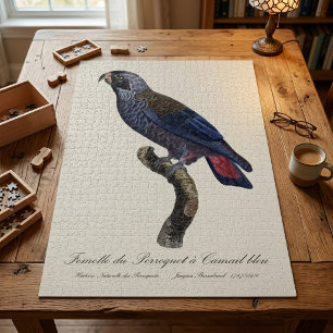 Puzzle Pionus sombre, Pionus fuscus