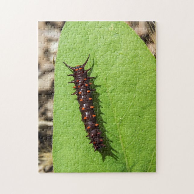 Puzzle Pipevine Swallowtail Caterpillar sur une feuille (Vertical)