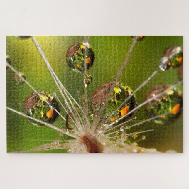 Puzzle Pissenlit et gouttelettes d'eau (Horizontal)