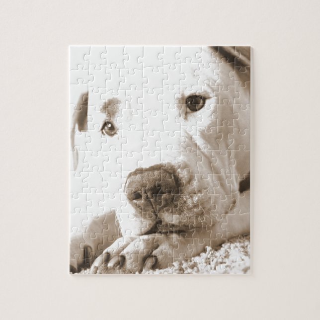 Puzzle pitbull blanc amical et endormi, détestez l'acte,  (Vertical)