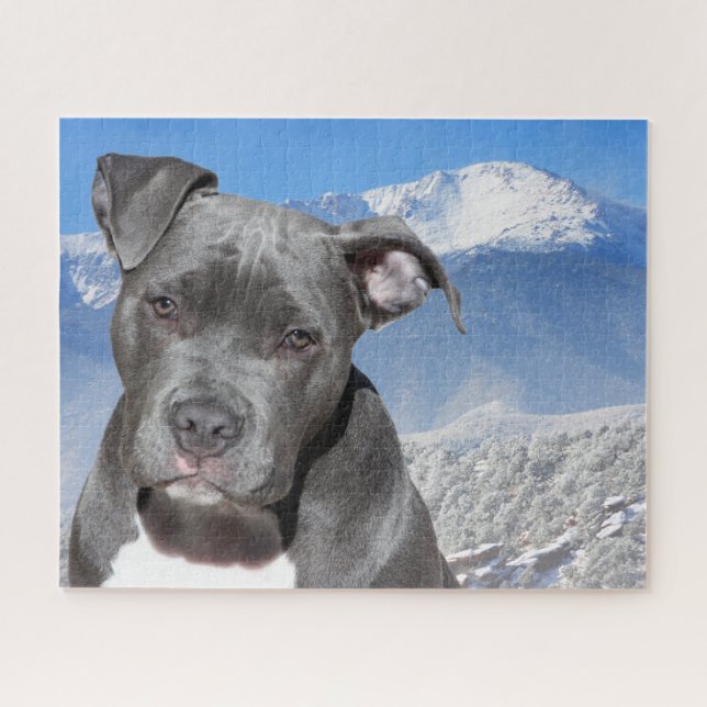 Puzzle Pitbull Terrier. (Horizontal)