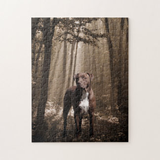 Puzzle pitbulle Brown et blanc dans le faisceau de soleil