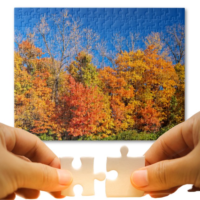 Puzzle Pittoresque automne arbres et ciel bleu nature pho (Puzzle loving dads will appreciate an excuse to stay inside with you on a hot summer afternoon. )