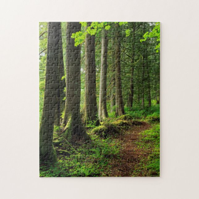 Puzzle Pittoresque Green Forest Trail (Vertical)