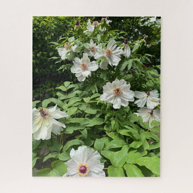 Puzzle Pivoine arbre blanche, Séoul (Vertical)