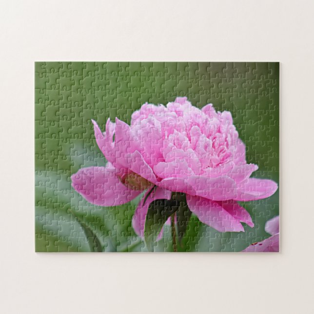 Puzzle Pivoine rose (Horizontal)