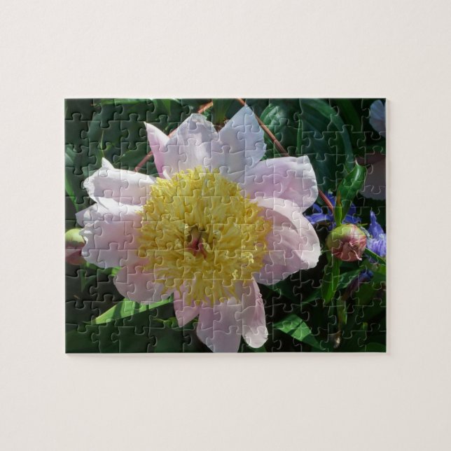 Puzzle Pivoines roses et jaunes Belle flore (Horizontal)