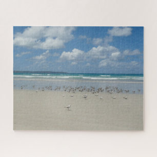 Puzzle Plage avec mouettes
