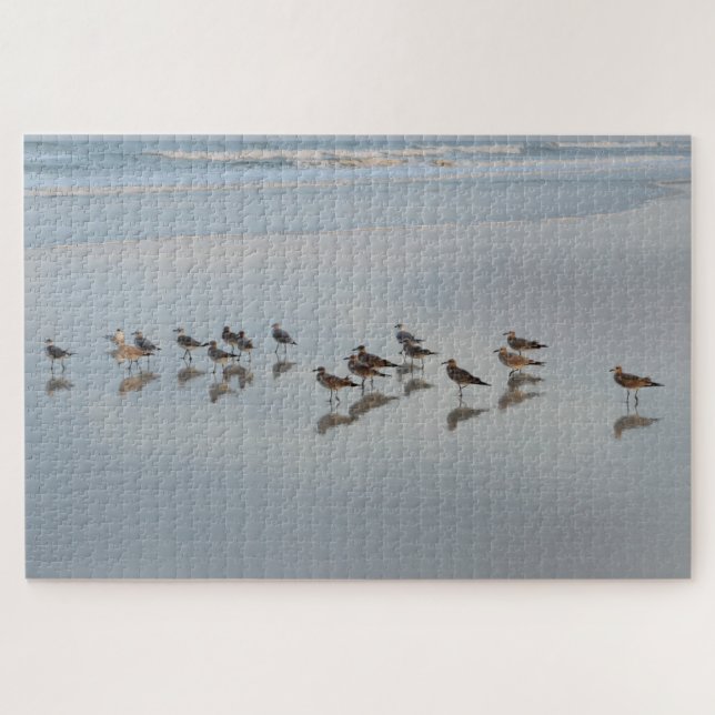 Puzzle Plage Oiseaux Nature Côtière Photographie Dur (Horizontal)