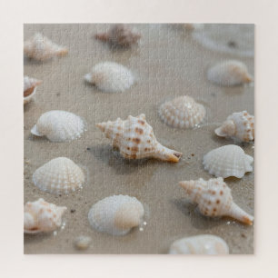 Puzzle Plage Sérénité des Coquillages Délicats
