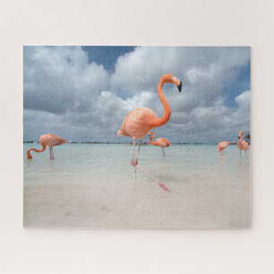 Puzzle Plages tropicales   Flamants roses Beach, Aruba