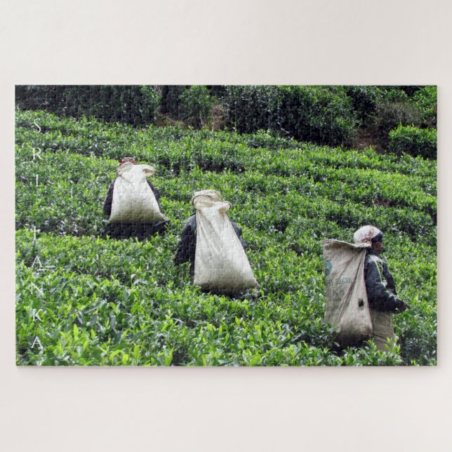 Puzzle plantation de thé en activité (Horizontal)