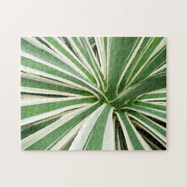 Puzzle Plante Agave Vert et blanc rayé (Horizontal)