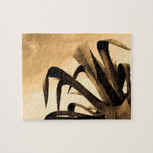 Puzzle Plante de Sepia Aloe Cactus