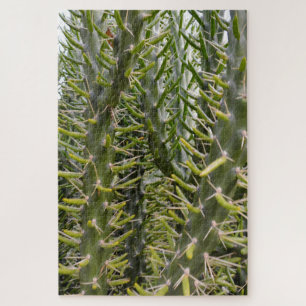 Puzzle Plante Green Prickly Cactus,