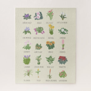 Puzzle Plantes intérieurs + Noms Gardener Plante Amateurs