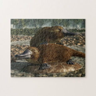 Puzzle Platypuses