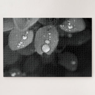 Puzzle Pluie sur une feuille