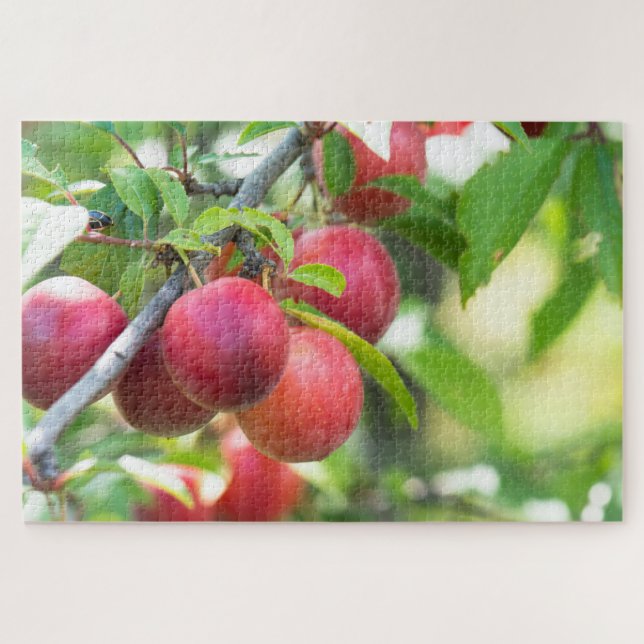 Puzzle Plum cerise sur branche (Horizontal)