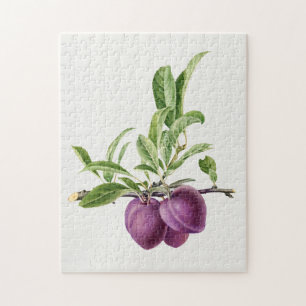 Puzzle Plum violet délicieux dans une peinture de branch
