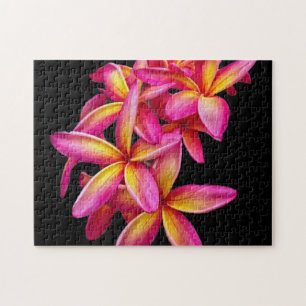 Puzzle Plumeria rose assez photo florale