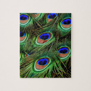 Puzzle Plumes de paon
