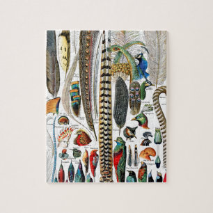 Puzzle Plumes par Adolphe Millot