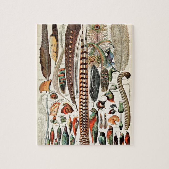 Puzzle Plumes vintages Oiseaux Vieux art illustratif (Vertical)