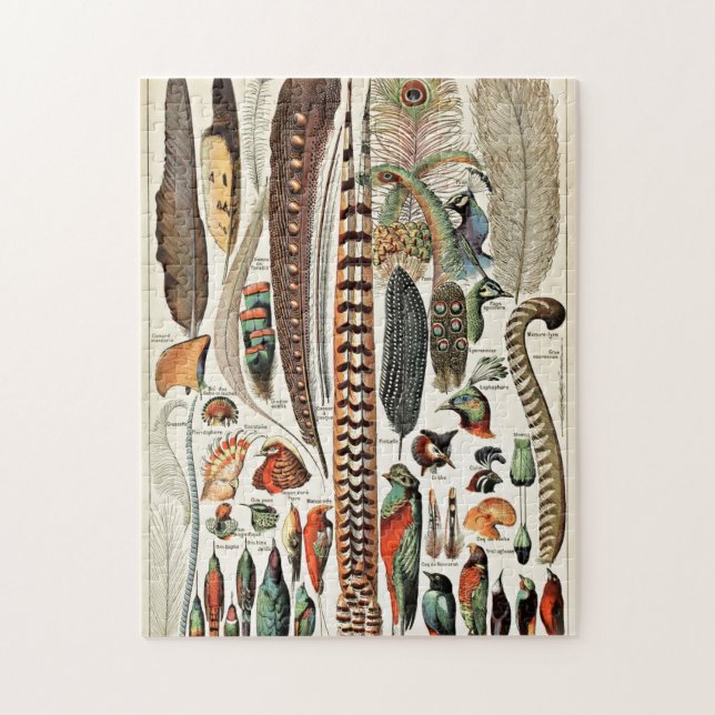 Puzzle Plumes vintages Oiseaux Vieux art illustratif (Vertical)