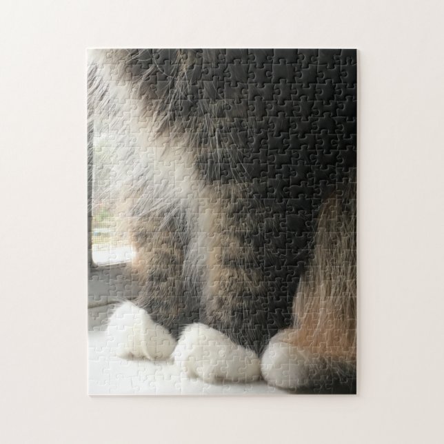 Puzzle Poches de chats en mousse (Vertical)
