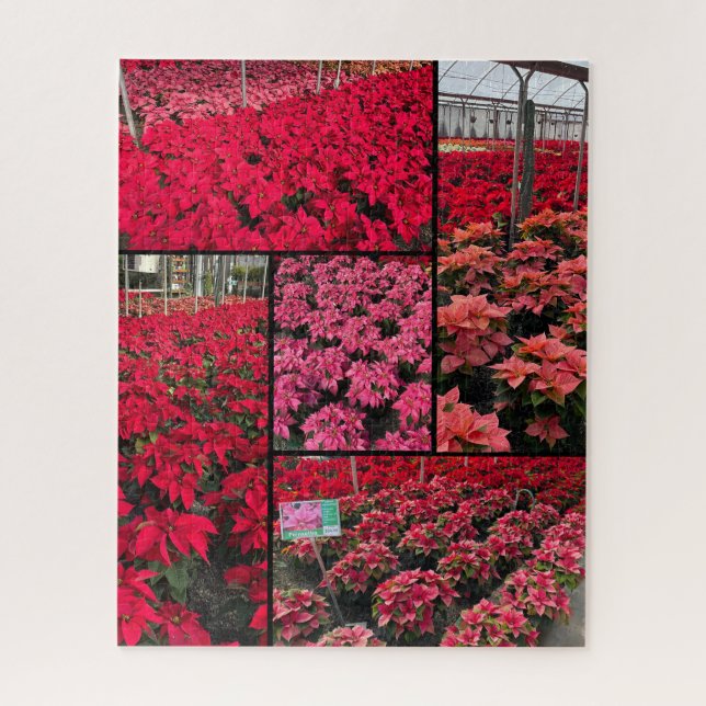 Puzzle Poinsettias de Noël difficiles 500 pièces (Vertical)