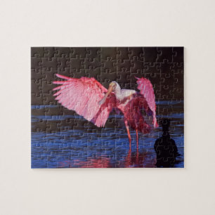 Puzzle Pois de rose (Ajaia ajaja) avec Cormorant
