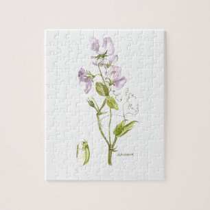 Puzzle Pois doux pourpre et vert à l'aquarelle fleurie