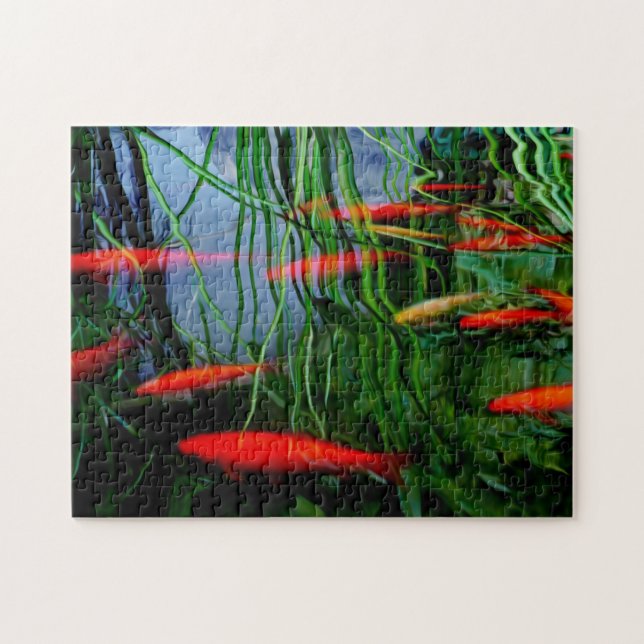 Puzzle Poisson (Horizontal)