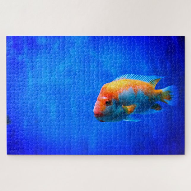 Puzzle Poisson (Horizontal)